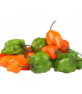 Chile habanero fresco (solo de venta dentro de Madrid M-50 y Barcelona capital) 200 g