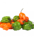 Chile habanero fresco (solo de venta dentro de Madrid M-50) 100 g