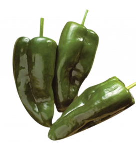 Chiles Poblano frescos (solo de venta dentro de Madrid M-50) 200 g